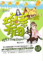 腹黑娘亲毒萌宝暗王太凶猛t