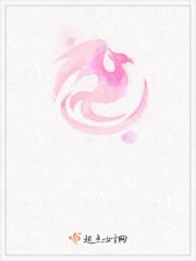 hp炼金术师日志