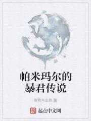 帕米尔别称