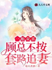 顾欢一胎两宝