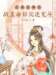 灵魂互换现言