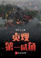 贞观第一咸鱼 秋千上