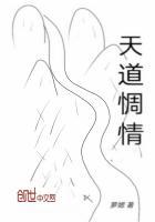天道详情