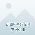 大宋贤王全集免费播放