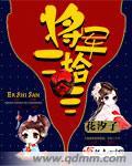 23元的将军