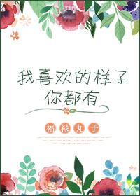 我喜欢的样子你都有完整版