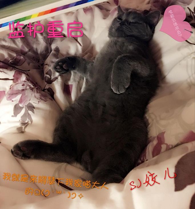 监护重启sj姣儿