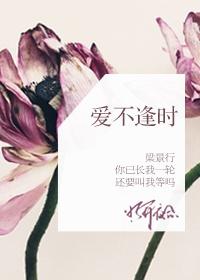 爱不逢时蒋晨昏