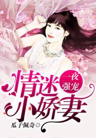 一夜迷情女主角