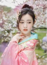 苏倾北冥夜煜