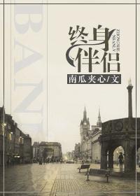 终身伴侣by南瓜夹心全文免费