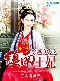 穿越良缘之镇南王妃有声