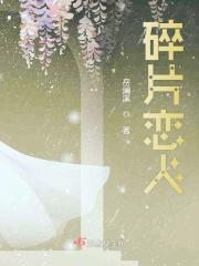 碎片人什么意思