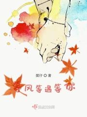 等风也等你免费观看