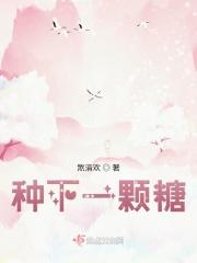 下一颗糖免费