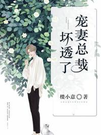替嫁新娘花样宠妻
