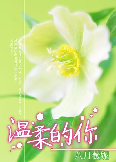 温柔的你吉他谱