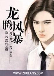 龙腾凤集的意思