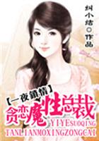 一夜锁情总裁先生请温柔免费阅读全文