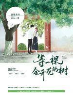 一棵会开花的树歌词完整版
