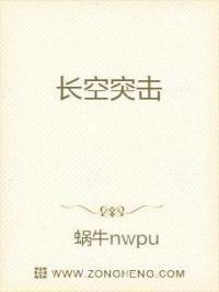 长空雄鹰空战片