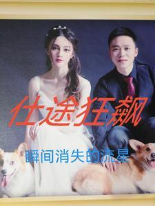仕途狂飙TXT
