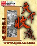 收藏天下集团