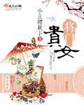 将门贵女网剧