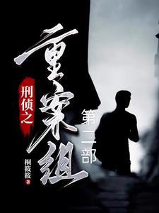 刑侦程序