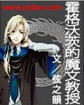 霍格沃茨的魔文教授TXT