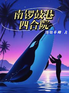 南锣鼓巷四合院林默