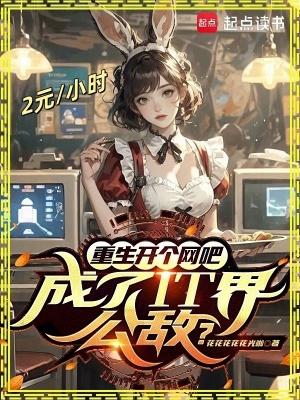 重生开个网吧成了it界公敌TXT