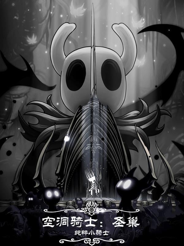 空洞骑士圣巢在哪