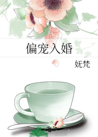 偏宠入婚讲的什么