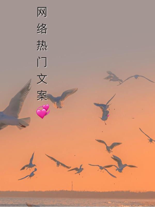 网络热门词语