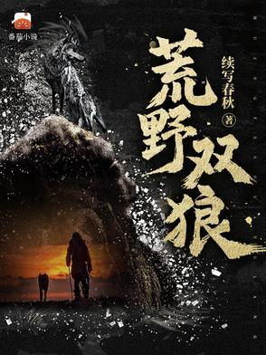 荒野双狼后续