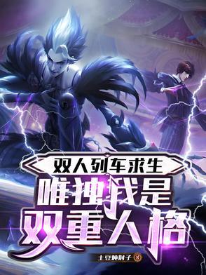 双人床列车