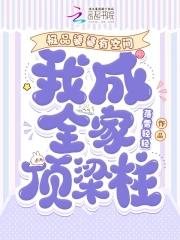 极品婆婆守则(七零)