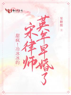 宋律师追妻