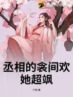 丞相的囚妾第2部集改编