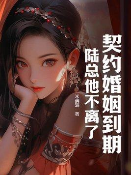 契约婚情陆家太太不好当全文免费阅读