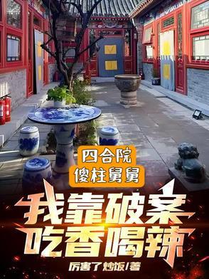 四合院之傻柱舅舅