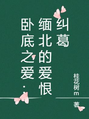 卧底缅甸