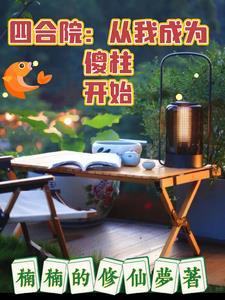 四合院从和傻柱分家开始