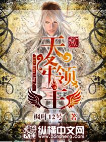 天降领主精校TXT免费