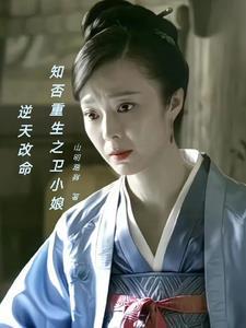 知否卫小娘原著