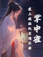 掌中雀全文免费阅读无弹窗