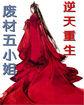 重生废柴之逆天十小姐