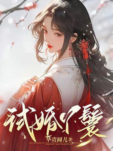 试婚丫鬟的