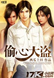 偷心大盗完整版